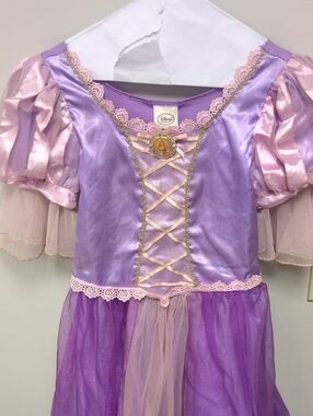 Disney Lavender and Light Pink Rapunzel Costume Dress
